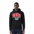 Men's Pro Standard Toronto Raptors Hoodie
